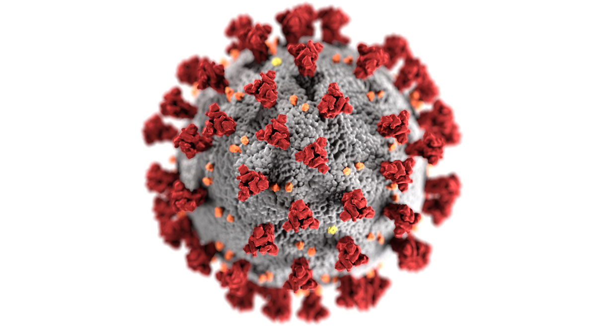 coronavirus-highres