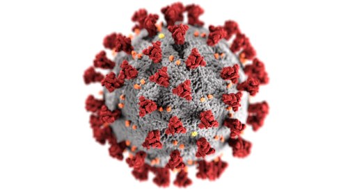 coronavirus-highres